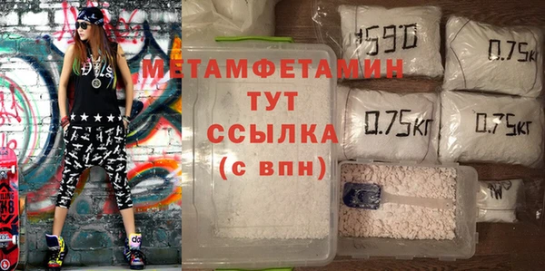 гидра Вяземский
