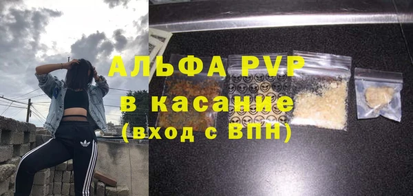 гидра Вяземский