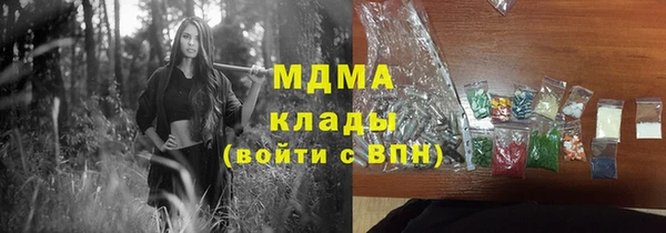 гидра Вяземский