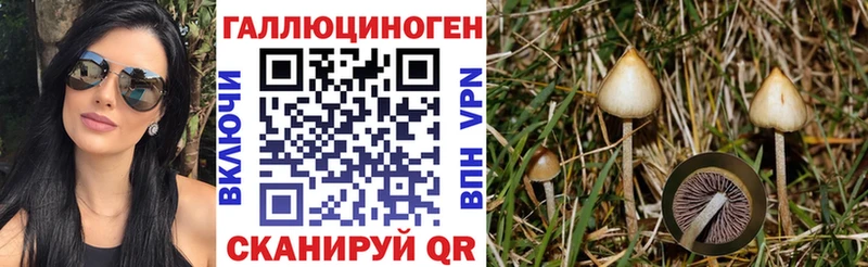 Псилоцибиновые грибы Cubensis  Купить  Камызяк 